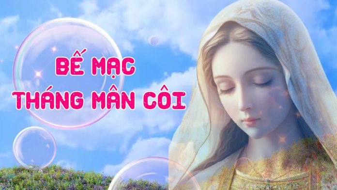 Blue Pink 3D Cute YouTube Intro Video