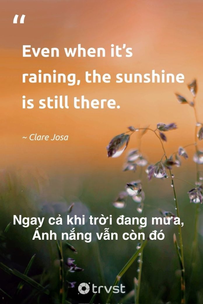 z6000395002780_c2281ac4dc0f51f6e48fc84a772f5919