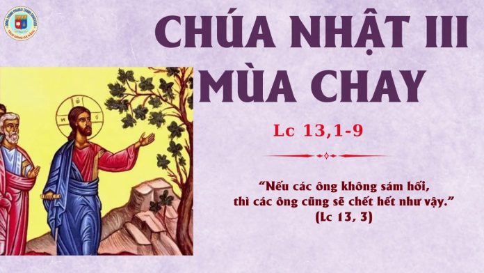 23.3CHÚA NHẬT 3 MÙA CHAY C