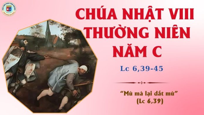 CHÚA NHẬT 8 THƯỜNG NIÊN C