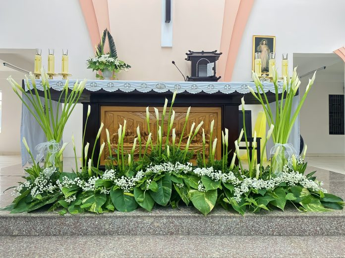 z6525547079979_6cfd7d63dc3fdf4b2974969ec19d2b01.remini-enhanced