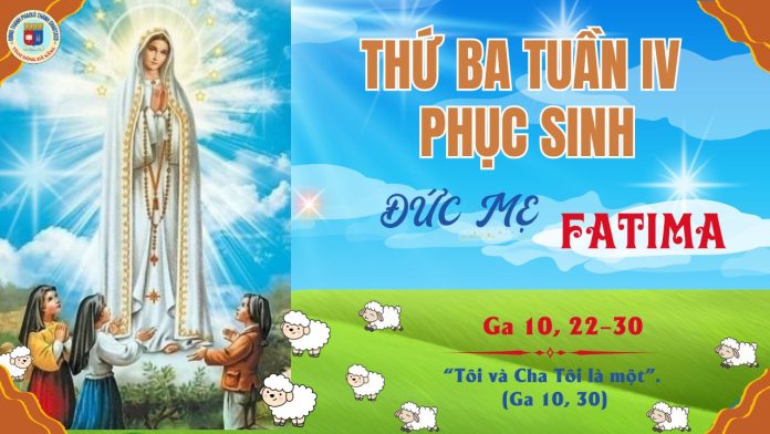 2ĐỰC MẸ FATIMATHỨ 3 TUẦN 4 PS