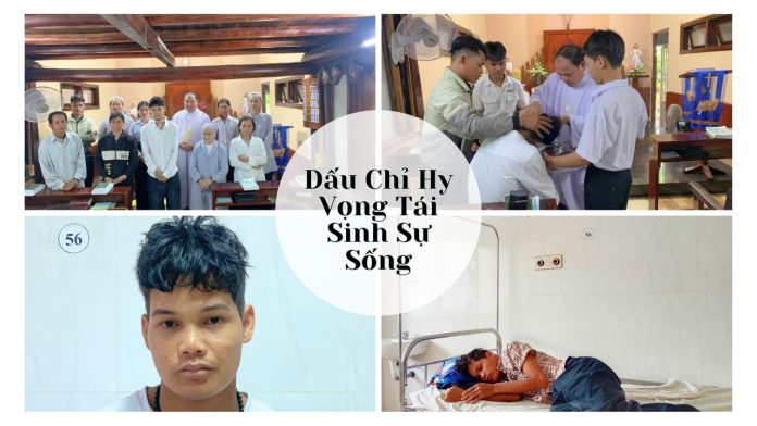 Dấu Chỉ Hy Vọng Tái Sinh Sự Sống
