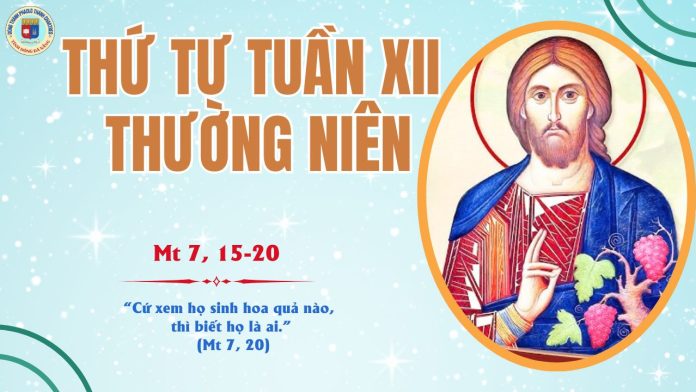 25.6 THỨ 4 TUẦN 12 TNC