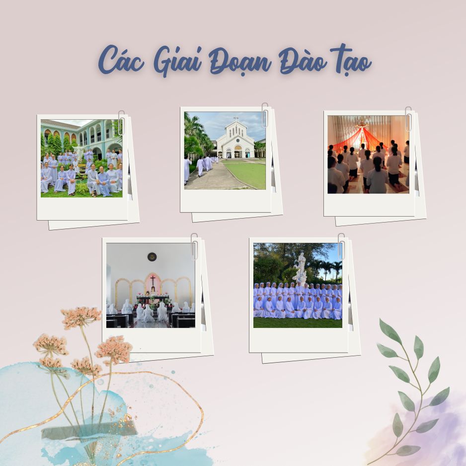 Các Giai Đoạn Đào Tạo