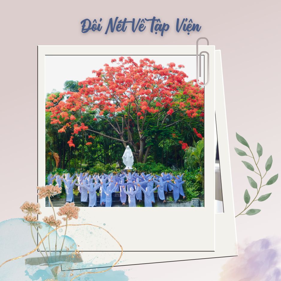 Đôi Nét Về Tập Viện