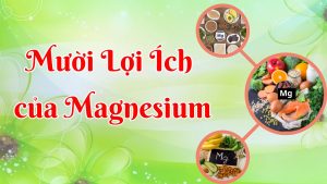10 LOI ICH CUA MAGNESIUM