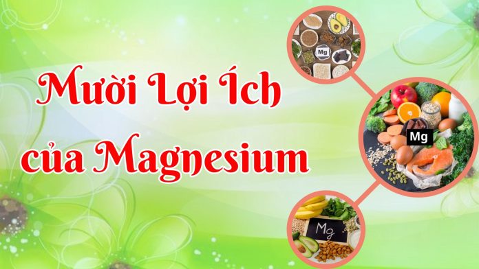 10 LOI ICH CUA MAGNESIUM