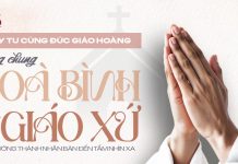Sống Chung Hòa Bình Nơi Giáo Xứ: Từ Trưởng Thành Nhân Bản Đến Tầm Nhìn Xa