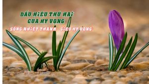 HÌNH NỀN TĨNH TÂM THÁNG 9