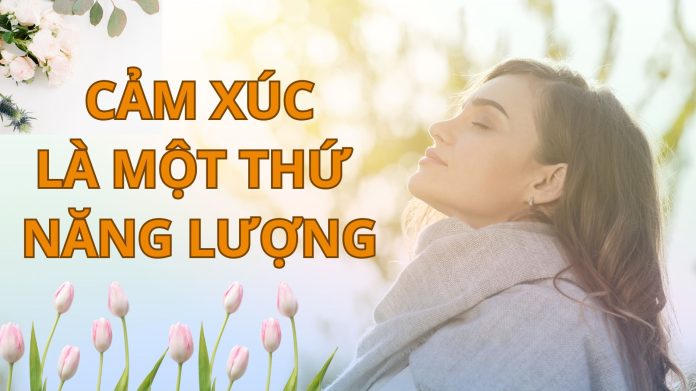 cảm xúc là một thứ năng lượng
