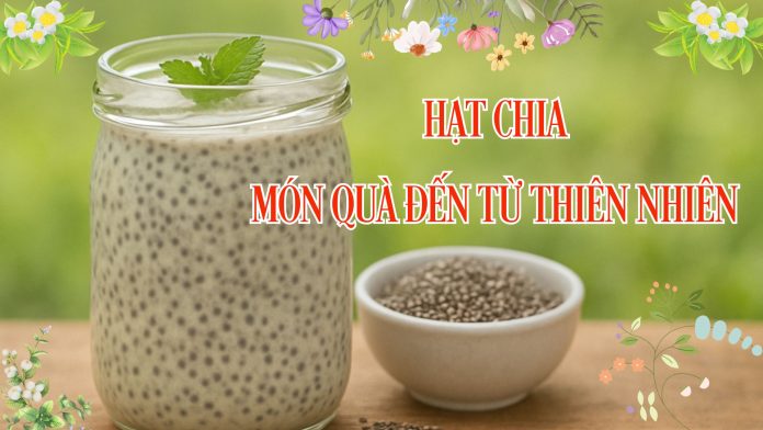 hat chia mon qua tu thien nhien
