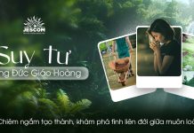 Chiêm Ngắm Tạo Thành, Khám Phá Tình Liên Đới Giữa Muôn Loài