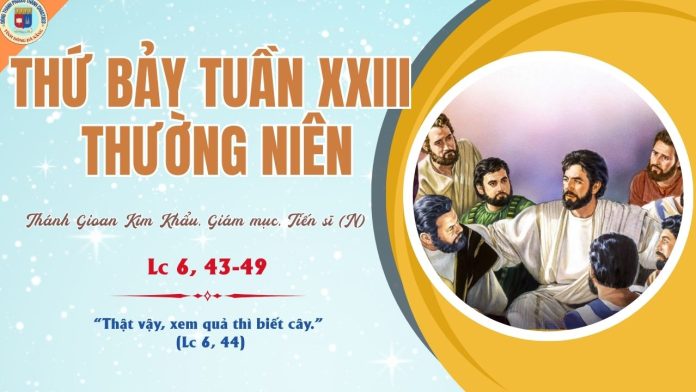 13.9 THỨ 7 TUẦN 23 TNC