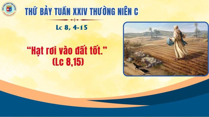 20.999- THỨ 7 TUẦN 24 TNC