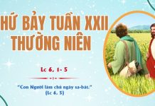 SNLC – THỨ BẢY TUẦN XXII THƯỜNG NIÊN C – Lc 6, 1- 5