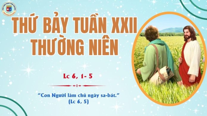 6.9 THỨ 7 TUẦN 22 TNC