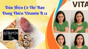 DAU HIEU CO THE BAN DANG THIEU VITAMIN B12