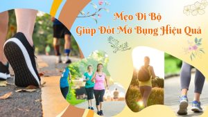 MEO DI BO GIUP DOT MO BUNG HIEU QUA