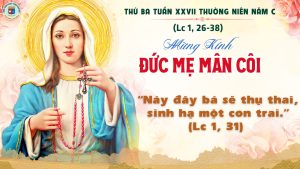 7.10 THỨ 3 - ĐM MÂN CÔI