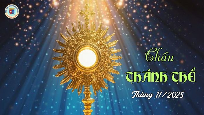 hình nền CTT THÁNG 11