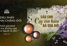 Dấu Phẩy Giữa Hai Chặng Đời