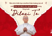 Phân Tích: Tầm Nhìn Thần Học Của Đức Giáo Hoàng Lêô Về Một Giáo Hội Dành Cho Người Nghèo Trong Tông Huấn