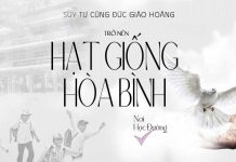 Suy Tư Cùng ĐGH: Trở Nên Hạt Giống Hòa Bình Nơi Học Đường