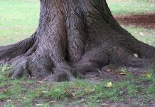 Tại Sao Cần Trau Dồi Và Phát Triển Đời Sống Tâm Linh, Đức Tin?