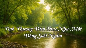 5. TINH THUONG DICH THUC NHƯ MOT DONG SUOI NGAM
