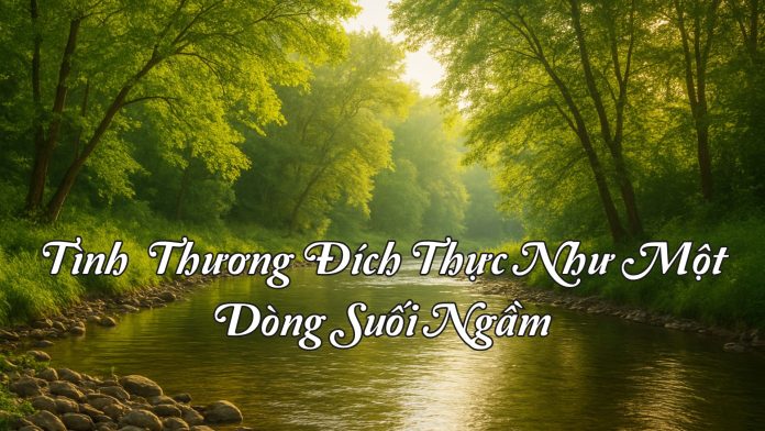 5. TINH THUONG DICH THUC NHƯ MOT DONG SUOI NGAM