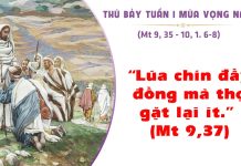 SNLC – THỨ BẢY TUẦN I MÙA VỌNG NĂM A – Mt 9, 35- 10, 1. 6-8