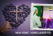 Mùa Vọng – Vọng Lại Đời Tôi