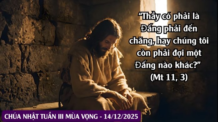 Suy Niệm Lời Chúa - Chúa Nhật Tuần 3 Mùa Vọng (14.12.2025)