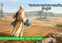 SNLC – THỨ TƯ TUẦN III THƯỜNG NIÊN – Mc 4, 1-20