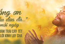 Sống Ơn ‘Cầu Dừa Đủ…’ Mỗi Ngày – Từ Mâm Trái Cây Tết Đến Lời Kinh Lạy Cha