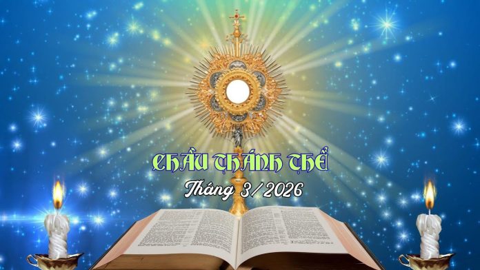 NỀN CTT THANG 32026