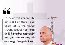 Tĩnh Tâm Mùa Chay 2026: Mỗi Kitô Hữu Là Một Môn Đệ Thừa Sai – Sứ Vụ Kitô Hữu Hoán Cải Nội Tâm – Gặp Gỡ Đức Kitô – Được Sai Đi.