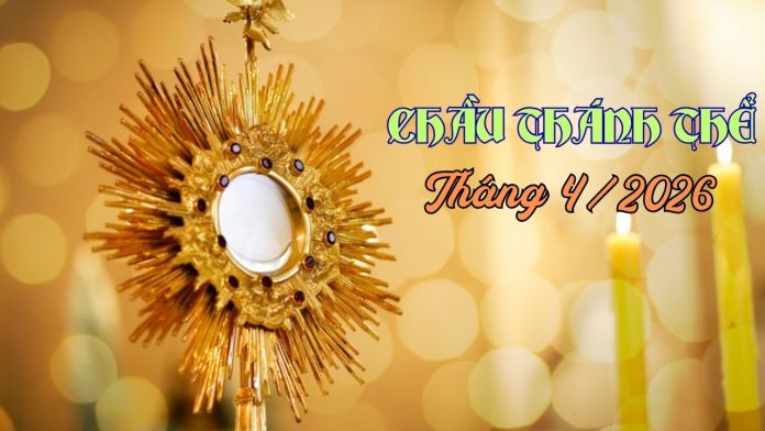 NỀN CTT THANG 42026