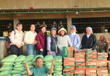 Cuộc Đời Là Những Chuyến Đi Nhỏ