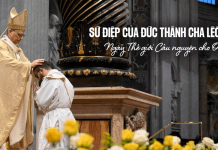 Sứ Điệp Của Đức Thánh Cha Lêô XIV Nhân Ngày Thế Giới Cầu Nguyện Cho Ơn Gọi