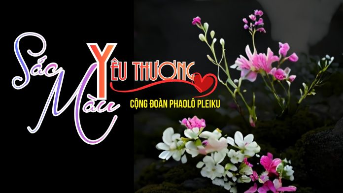 Thumnail T4.2026 CĐ Phaolo Pleiku