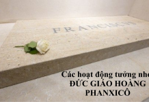 Các Hoạt Động Tưởng Nhớ Đức Giáo Hoàng Phanxicô