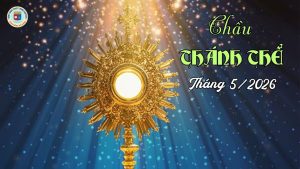CTT - HÌNH NỀN THANG 62026