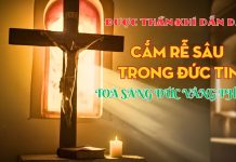 Tĩnh Tâm Tháng 5.2026 – ĐƯỢC THẦN KHÍ DẪN DẮT CẮM RỄ SÂU TRONG ĐỨC TIN- TOẢ SÁNG ĐỨC VÂNG PHỤC